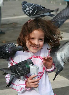 Pigeon Mama