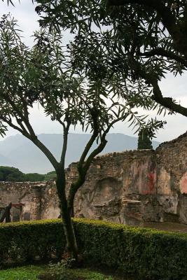 Under the budding olive tree...