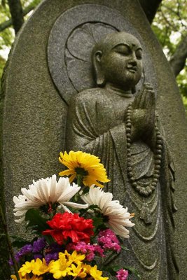 Flowers for Buddha