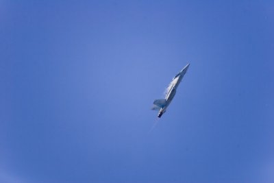 Wings over Marietta-19