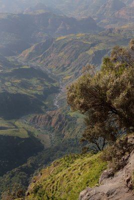Siemen mountain national park Ethiopia**Full gallery**