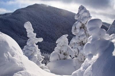Snowshoeing at Camel hump in Vermont **Full gallery here**