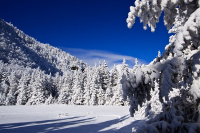 Ballade en raquettes au Camel hump - Vermont