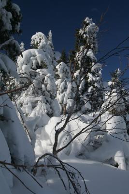 chalet uqam 2006 - 08.JPG