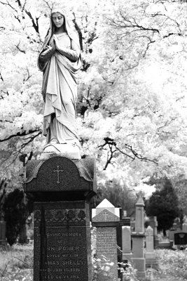 Cimetery on Mont Royal -  Montreal