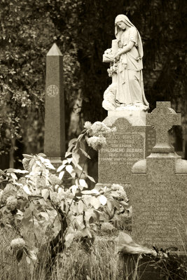 Cimetery on Mont Royal -  Montreal
