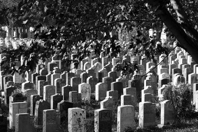 Cimetery on Mont Royal -  Montreal