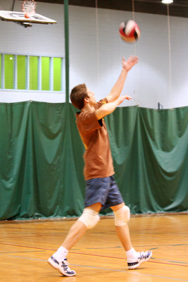02_Volley_Purple_ass_baboons copy.jpg