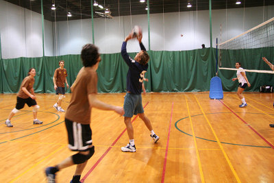 06_Volley_Purple_ass_baboons copy.jpg