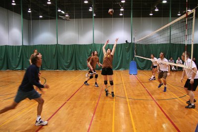 07_Volley_Purple_ass_baboons copy.jpg