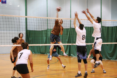 09_Volley_Purple_ass_baboons copy.jpg