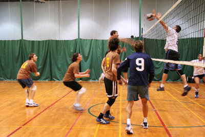 10_Volley_Purple_ass_baboons copy.jpg