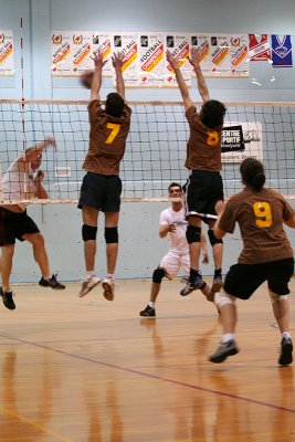 19_Volley_Purple_ass_baboons copy.jpg