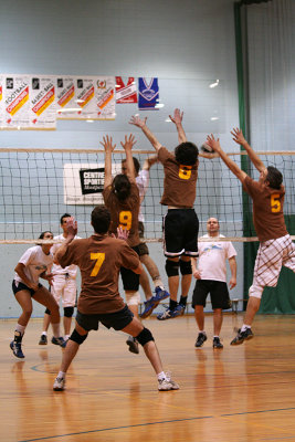 20_Volley_Purple_ass_baboons copy.jpg