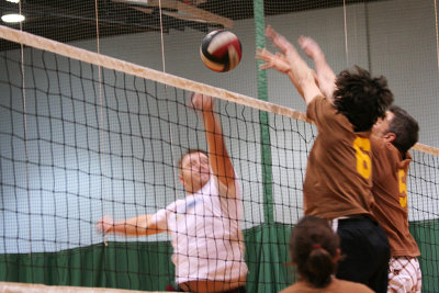 21_Volley_Purple_ass_baboons copy.jpg