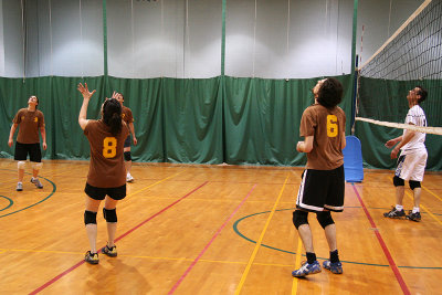 23_Volley_Purple_ass_baboons copy.jpg