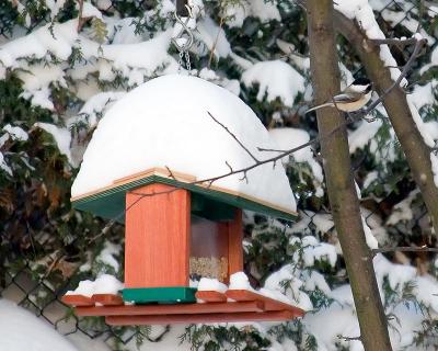 20-DEC-2005