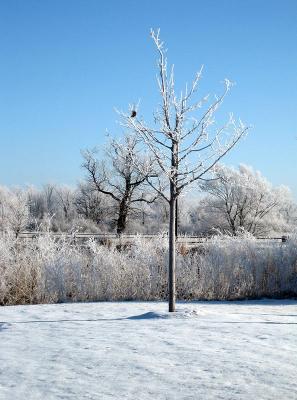 08-DEC-2005