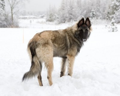 The boy sees snow