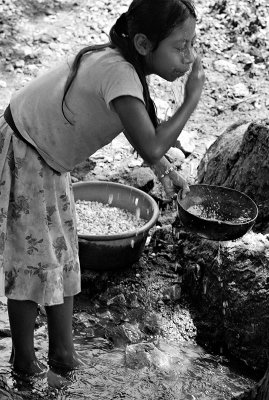 Bonete, Honduras