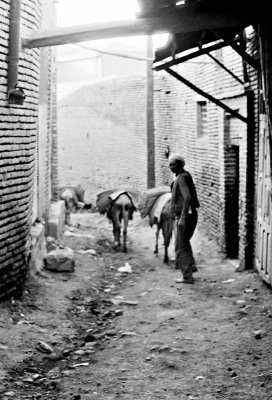 Worker with Donkeys