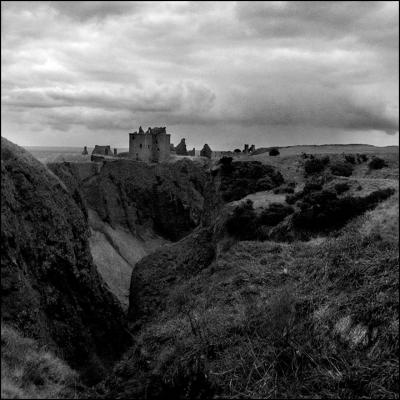 50 Nature in B & W: Naturally Defensive.