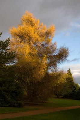 Botanic Gardens.