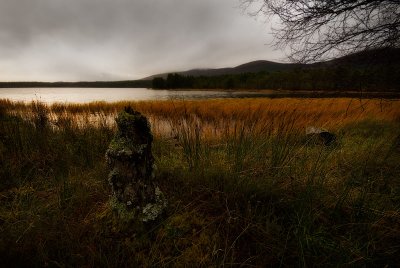 Loch Morlich.