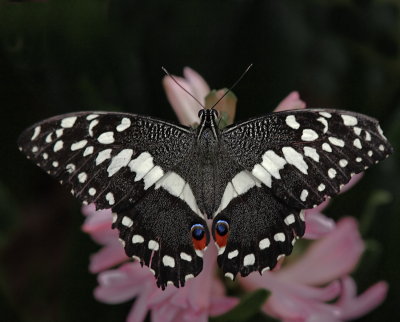 P3153504__.jpg