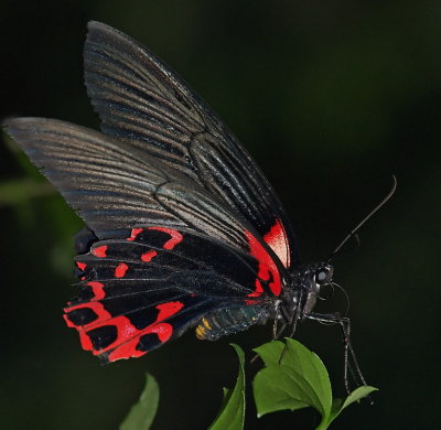 P3153562__.jpg