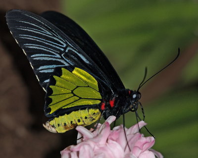 P3153601__.jpg