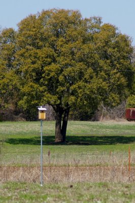 bird_housing