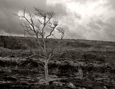 Volcanoes Park5