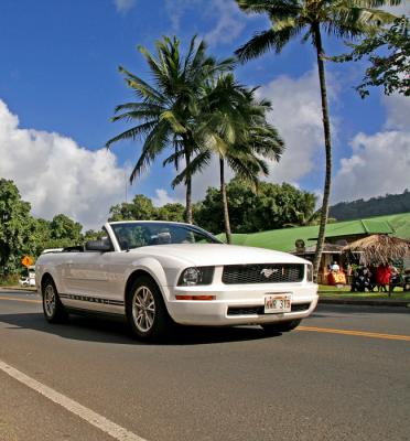 Mustang - Kauai