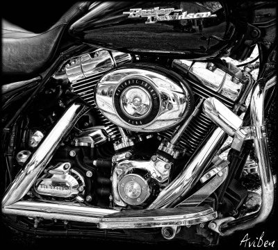 Harley Engine 7-12-09BW.jpg