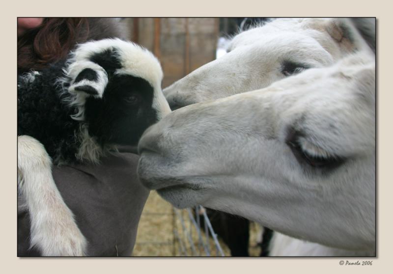 Meeting the Neighbors