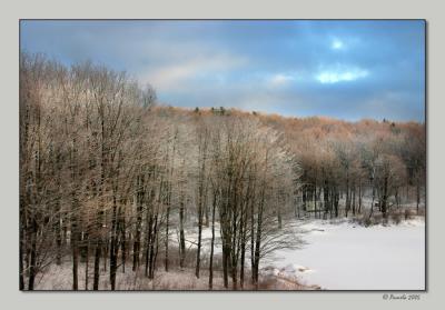 After the Storm