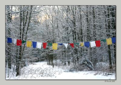 Prayer Flags