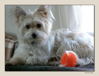 Gigi with her favorite Christmas present