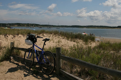 Wellfleet