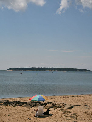 Wellfleet