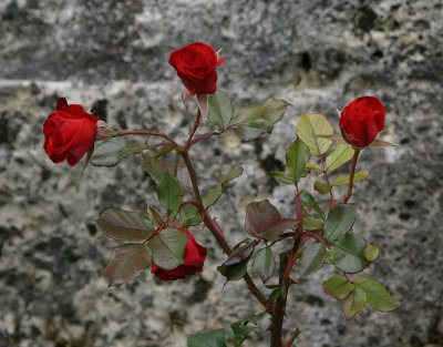 Gruyeres castle