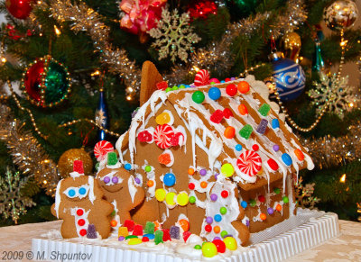 Merry Christmas - Ginger Bread House