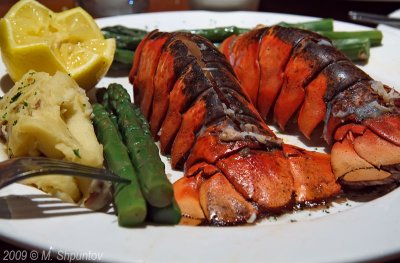 Lobster's Shapes