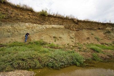 Sediments Kalomoto area. Early Pleistocene