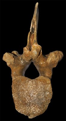 Grevena elephant
