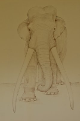 The straight-tusked elephant