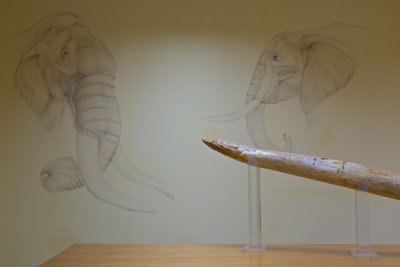 View on other drawings in Milia's museum