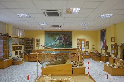 Milia's paleontologic Museum