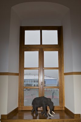 Window view